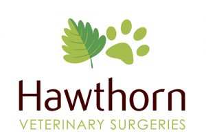 Hawthorn Veterinary Surgeries